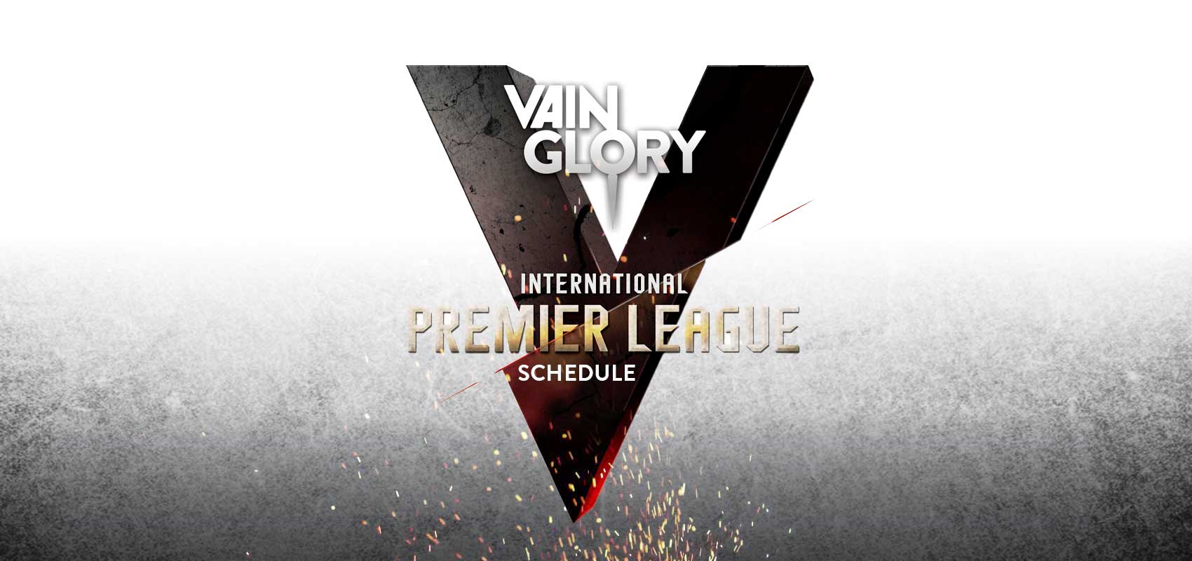 VIPL_schedule